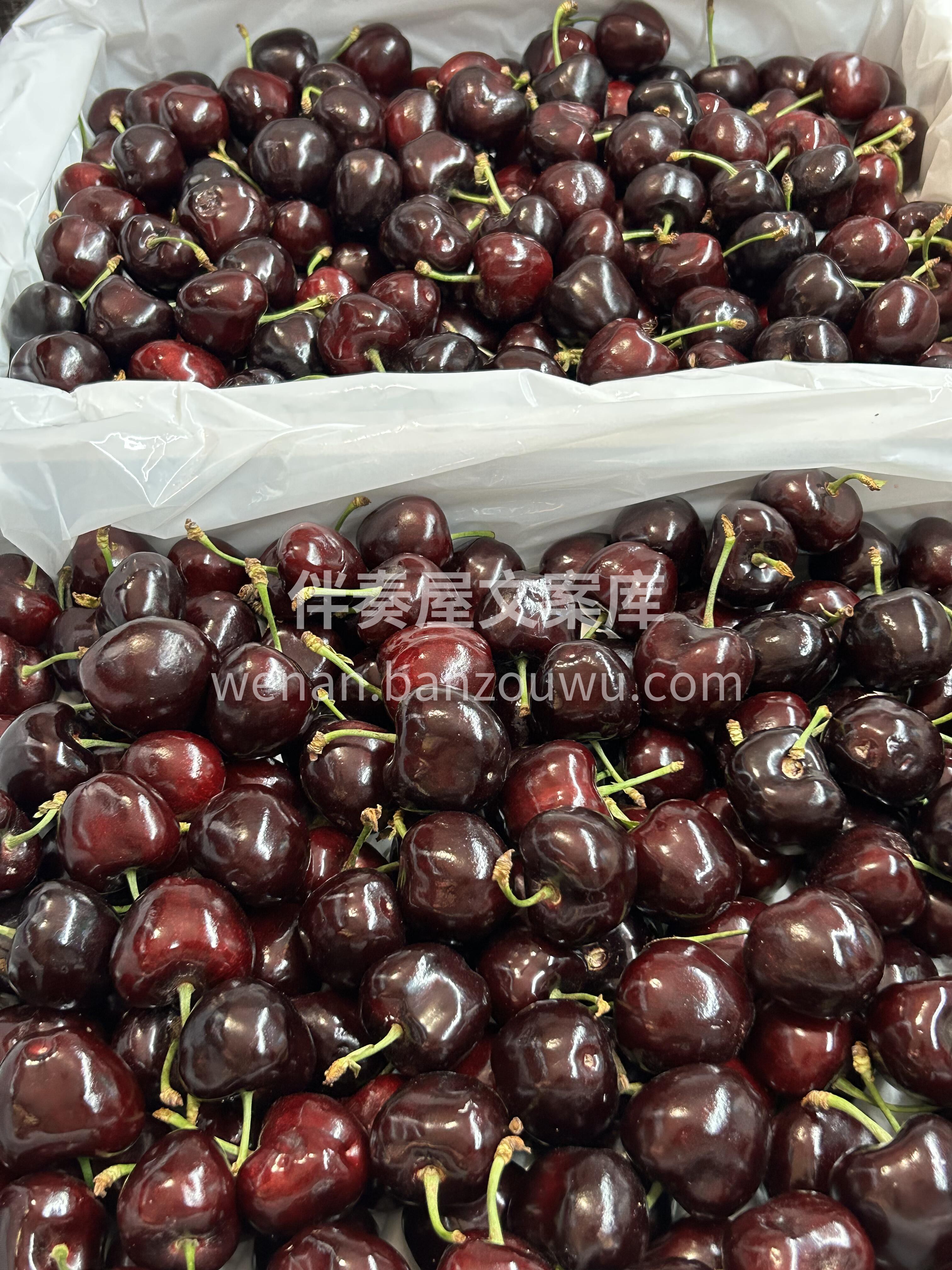再甜的文案也不及这樱桃🍒🍒 樱桃向来被称 配图3