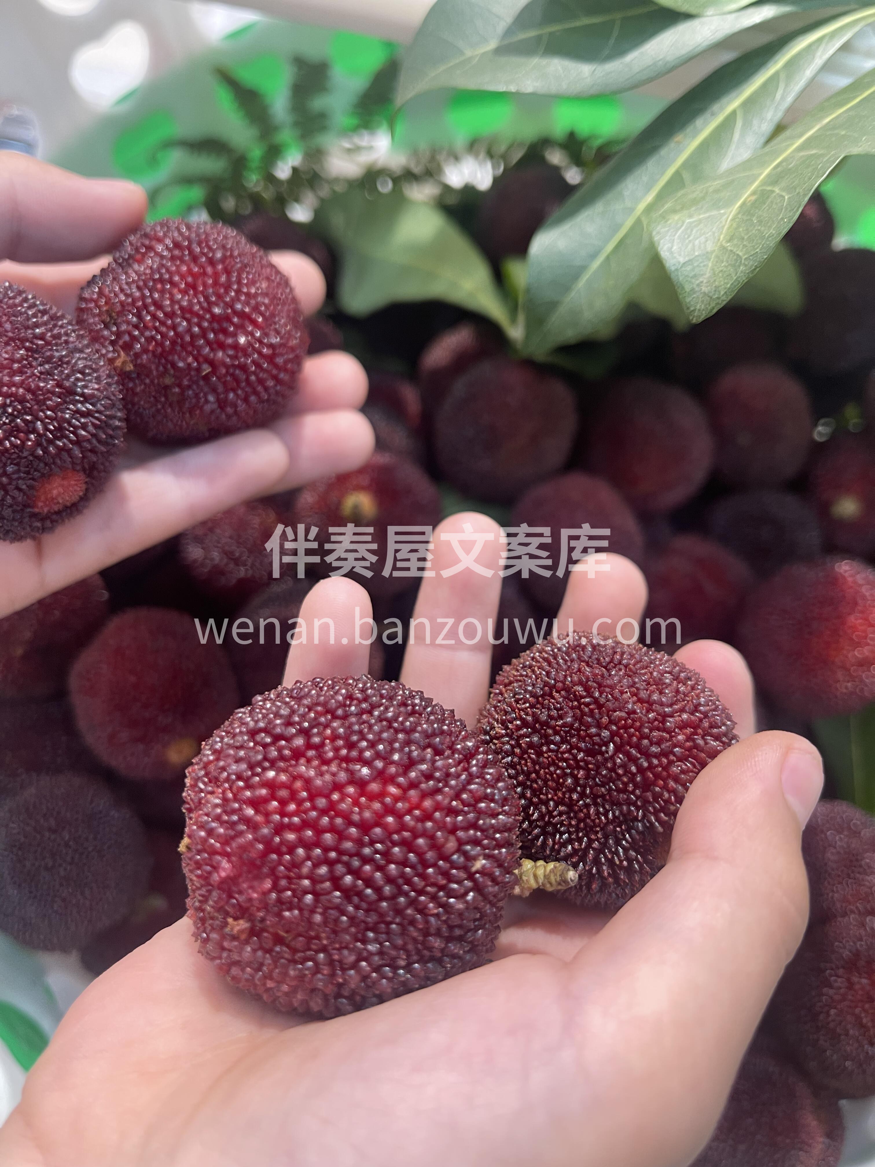 每天都被喜欢的水果，填满生活🥰 💕新鲜杨 配图1