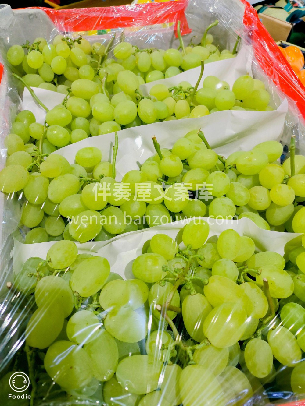 维多利亚青提维多利亚青提🍇 🍀粒粒滋润您 配图3