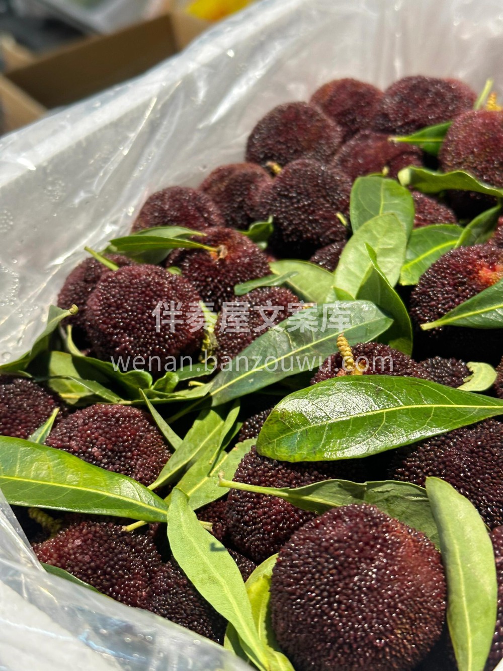 💚超甜杨梅，好好吃呀😋～ 东魁杨梅🌸口感 配图3
