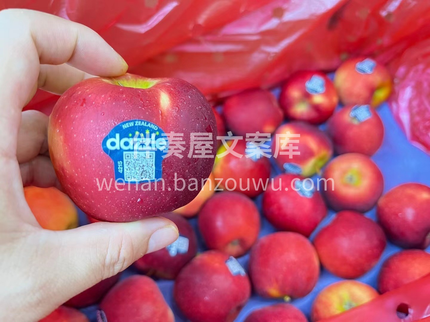 新西兰丹烁苹果🍎 有着浓郁的苹果味，脆脆 配图1