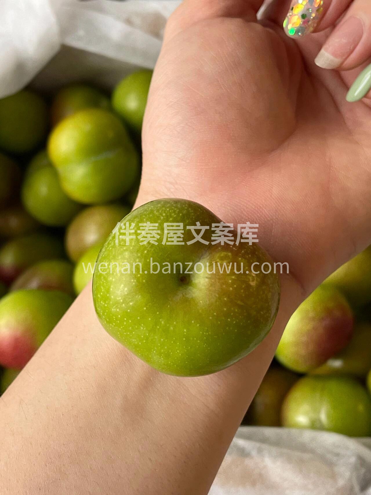 『特别推荐』👉 半边红脆李❤️ 一口下去 配图3
