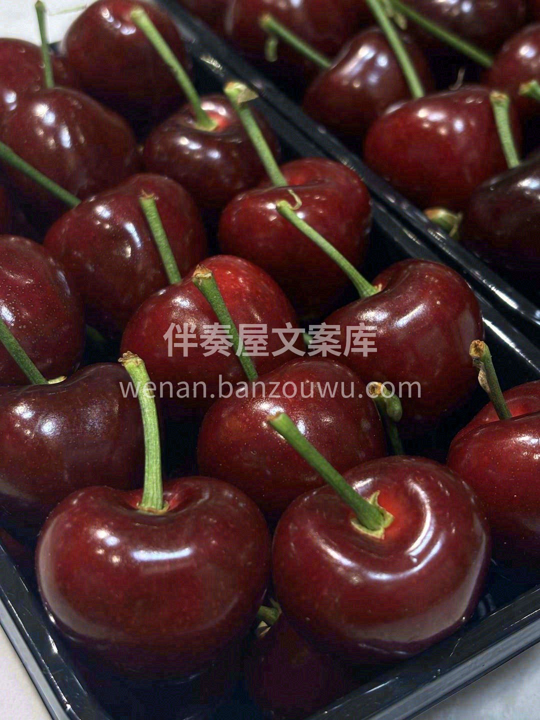 顶货 | 春天第一果🎁 超大美早樱桃敬上 配图1