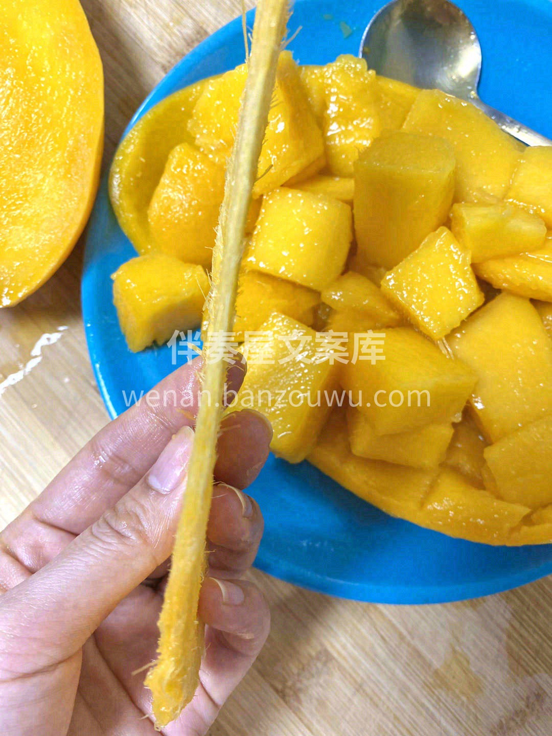 沐浴温暖的阳光🌤️，饱吸充足的水分，滋养 配图1