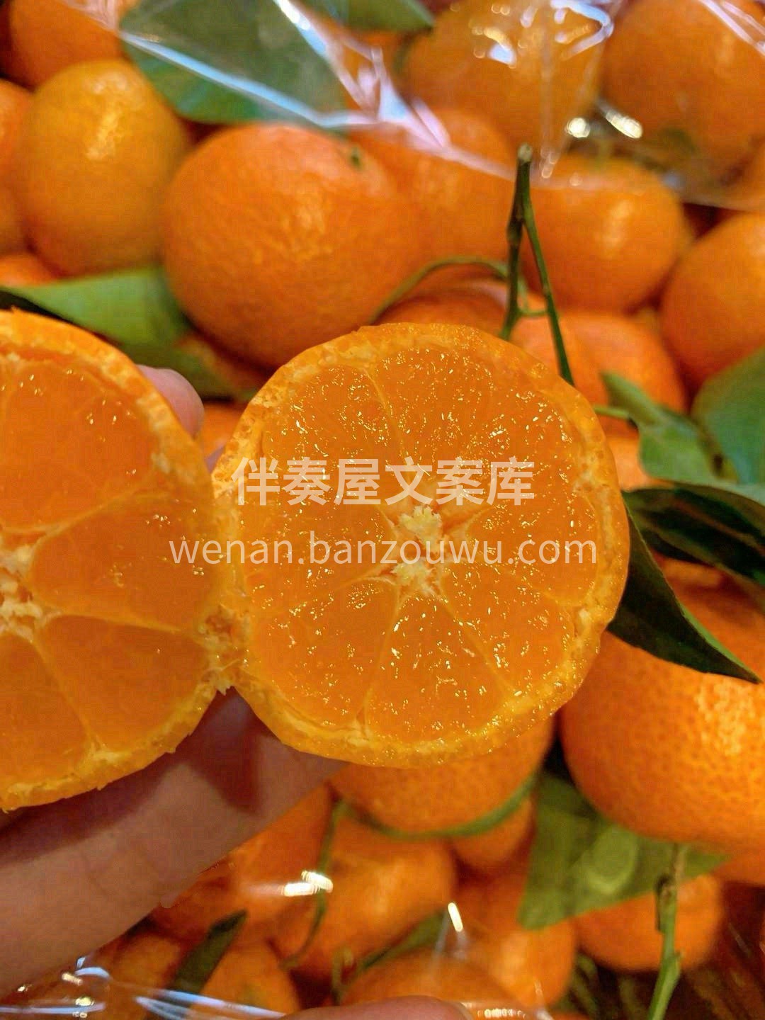 正宗沙糖桔🍊 好吃纯甜不涩口！一点儿酸都 配图1