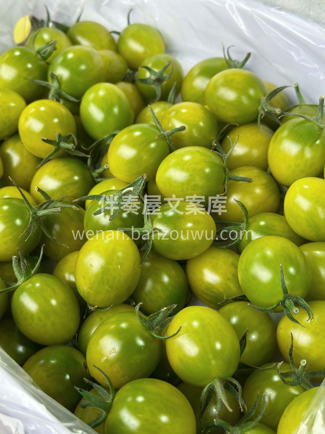 绿宝石般的美味💎—青甜小番茄，一口爆汁🍯 配图1