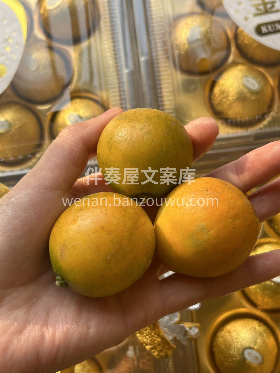 😍颠覆想象的脆蜜金柑🧡 咬一口蜜汁流一手 配图1