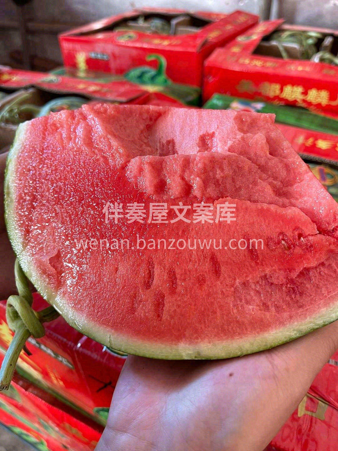 千金难买，好瓜难求😋 麒麟瓜🍉，知你品味 配图3