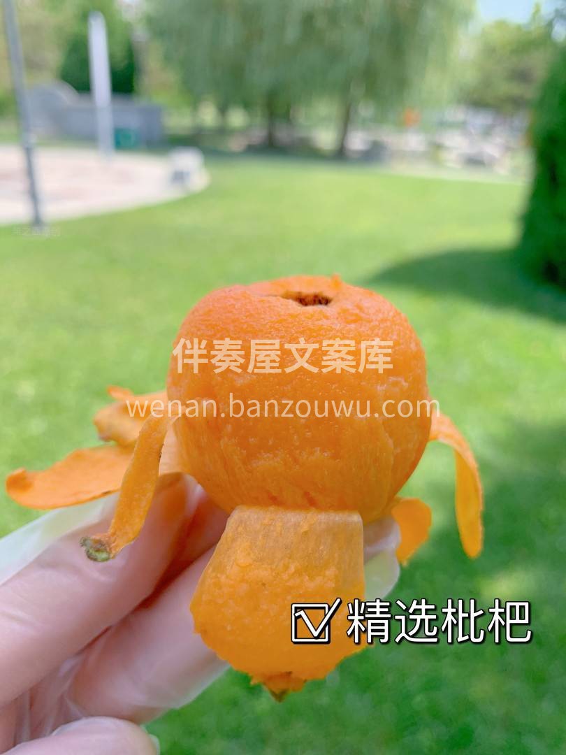 天然护嗓润肺之宝🔱 蒙自五星枇杷果柔软多 配图2