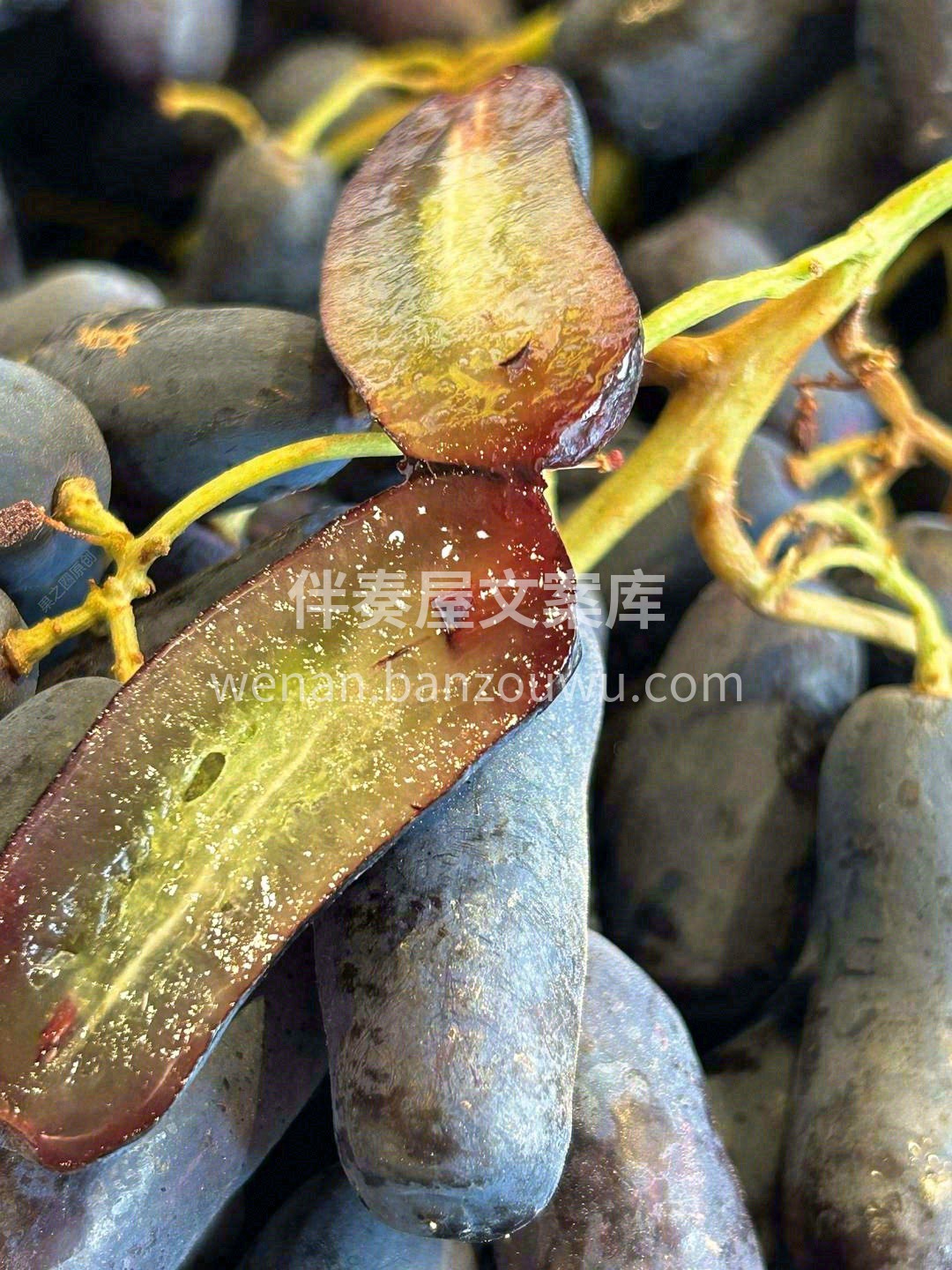 做为葡萄界的“大哥大”✅ 吃过它的人一定 配图2