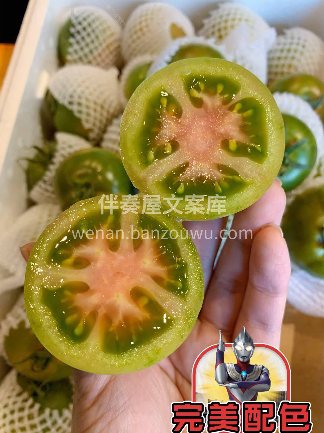 🍅身材娇小，果肉脆嫩，沙瓤多汁，生津止渴 配图2