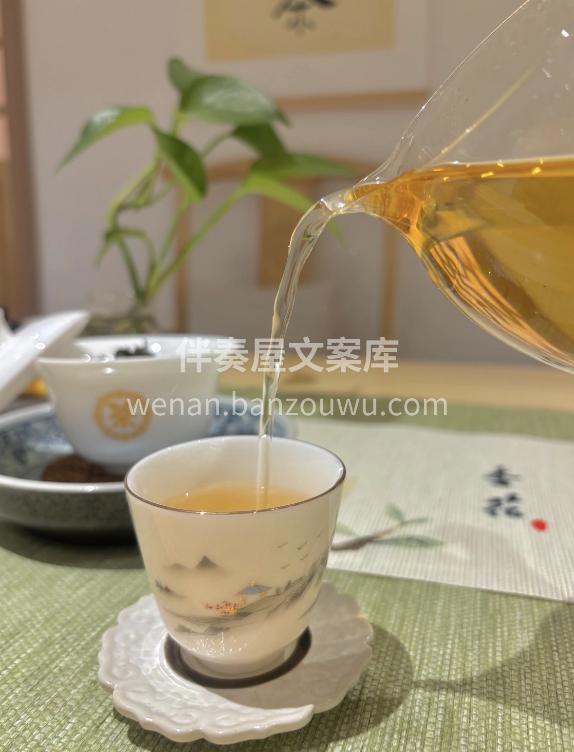 喝过这杯铁观音，才知道什么叫“观音韵”！ 配图3
