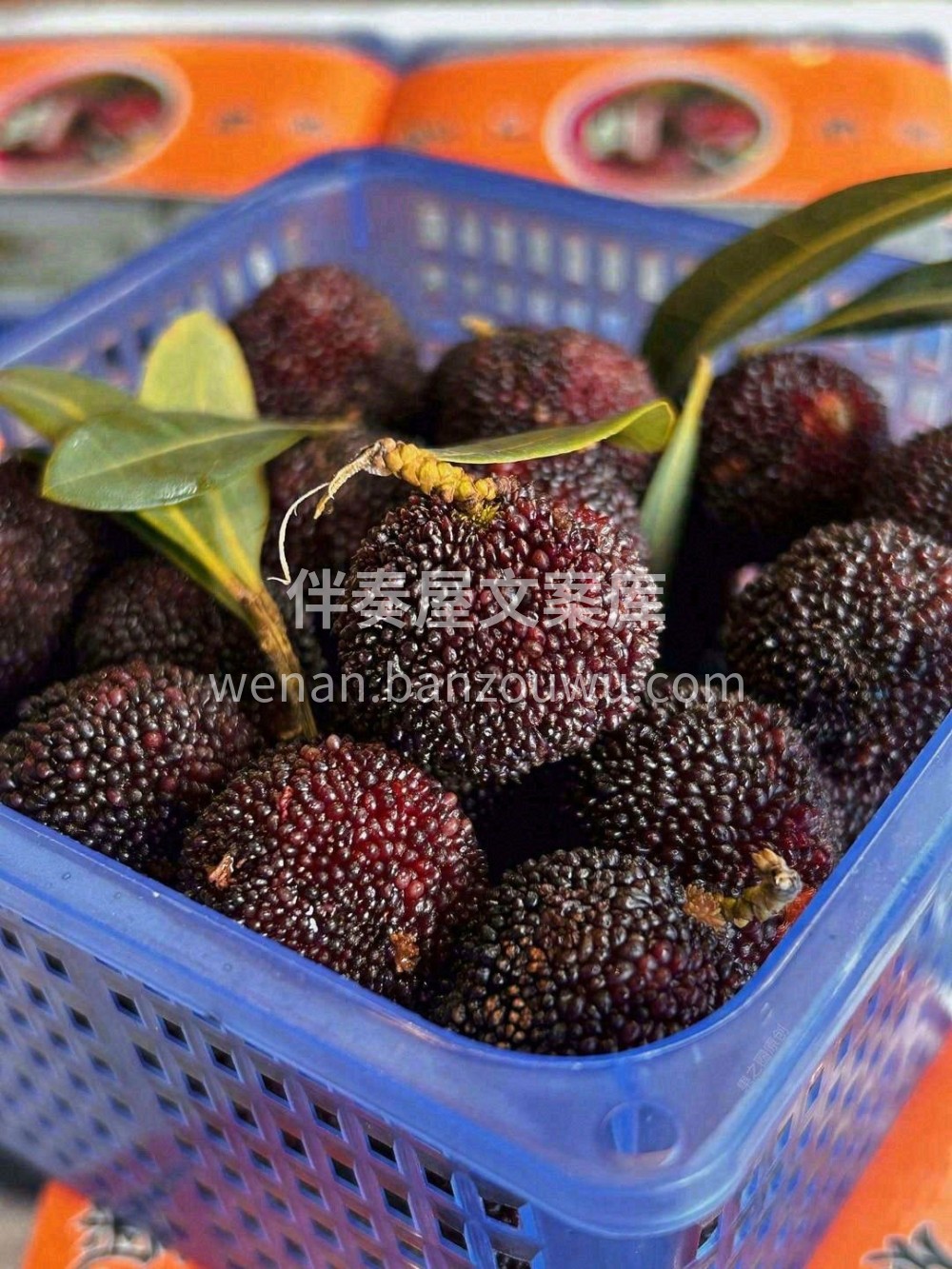 一颗好吃的杨梅👍夏天的味道💚想要夏天过得 配图1