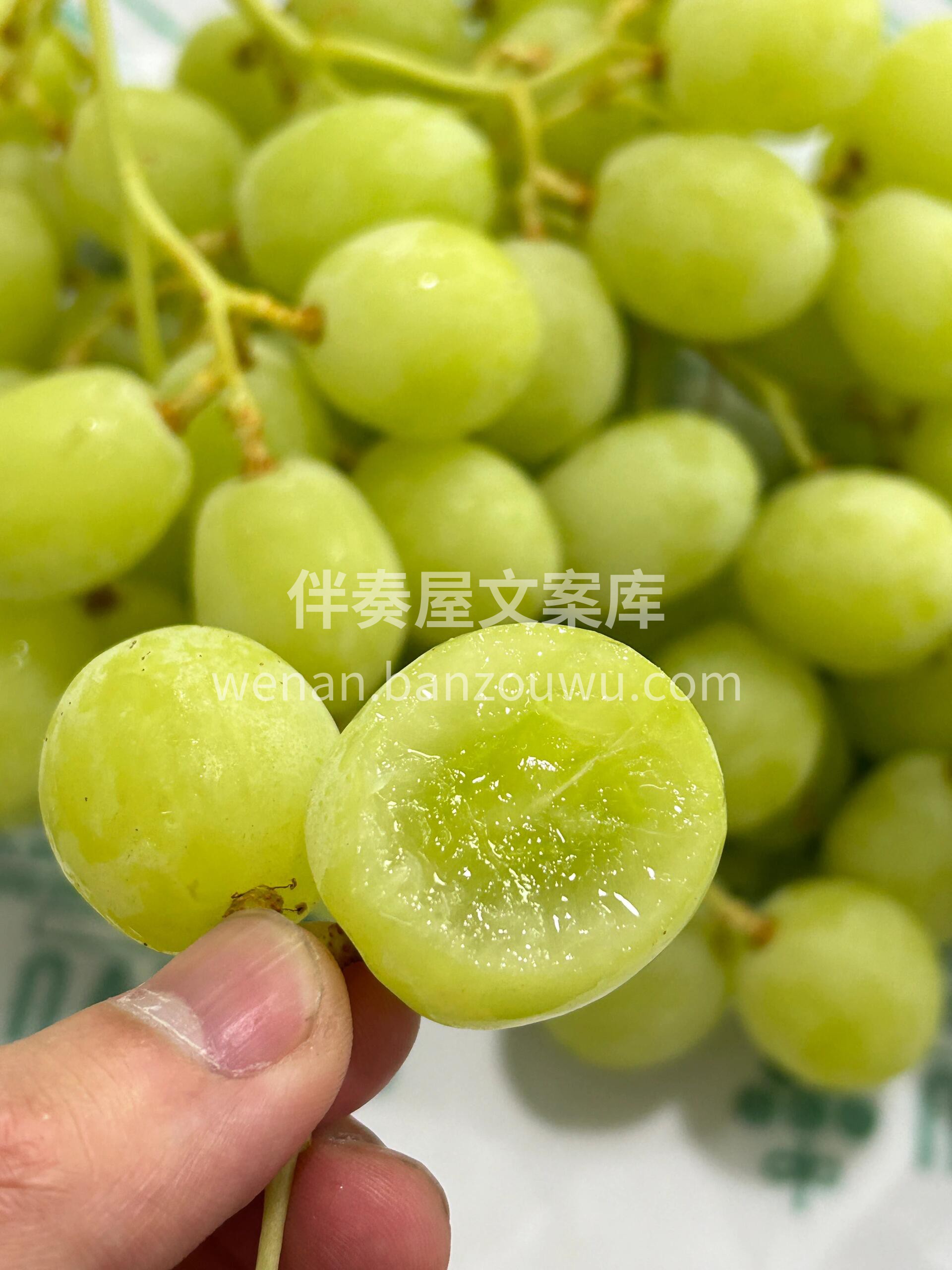 好货推荐🎉🎉 甜地球青提咬起来都能听到嘎 配图2