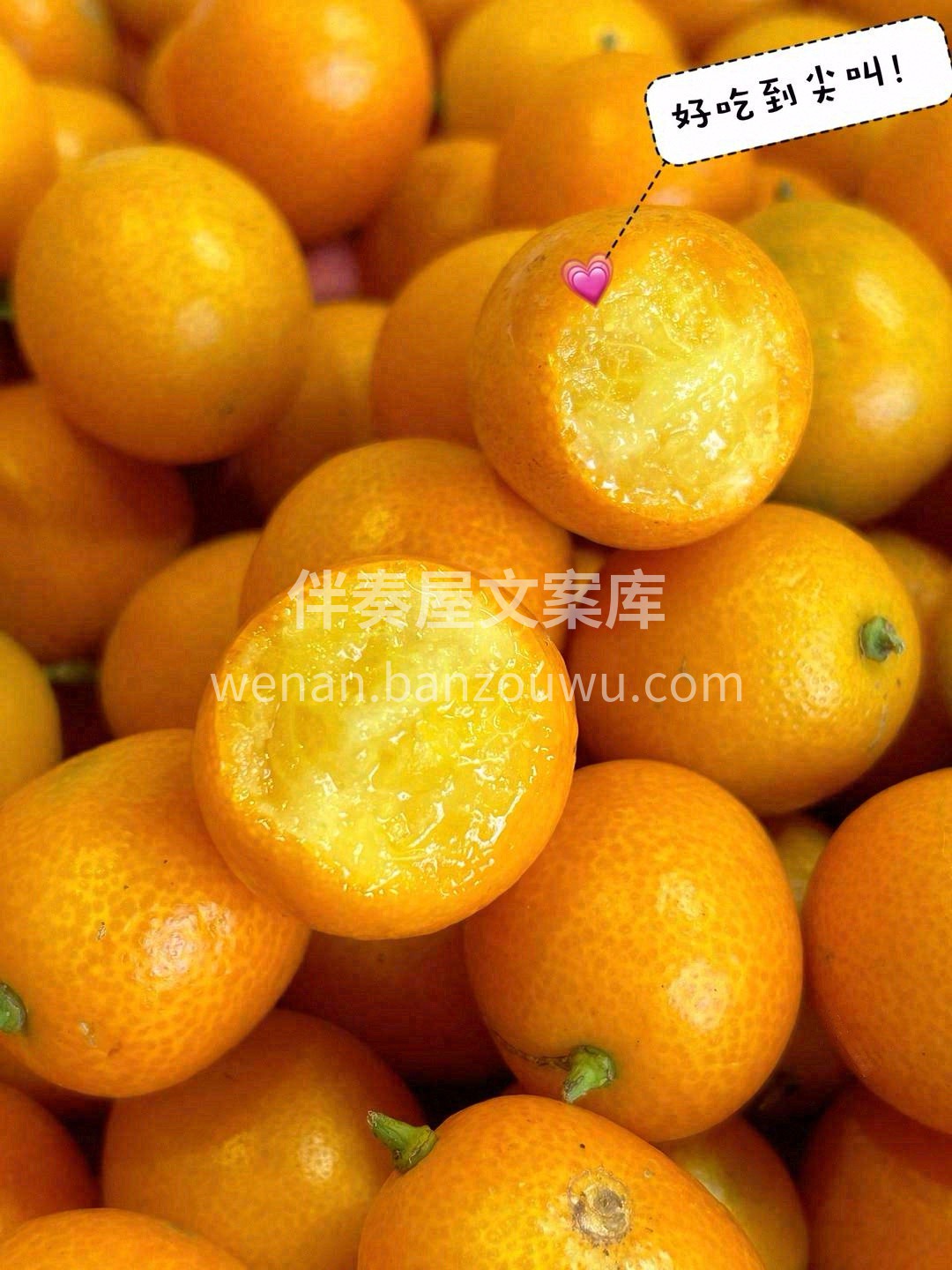 世间万物，唯美味与爱不可辜负🌸。 遇上金 配图2