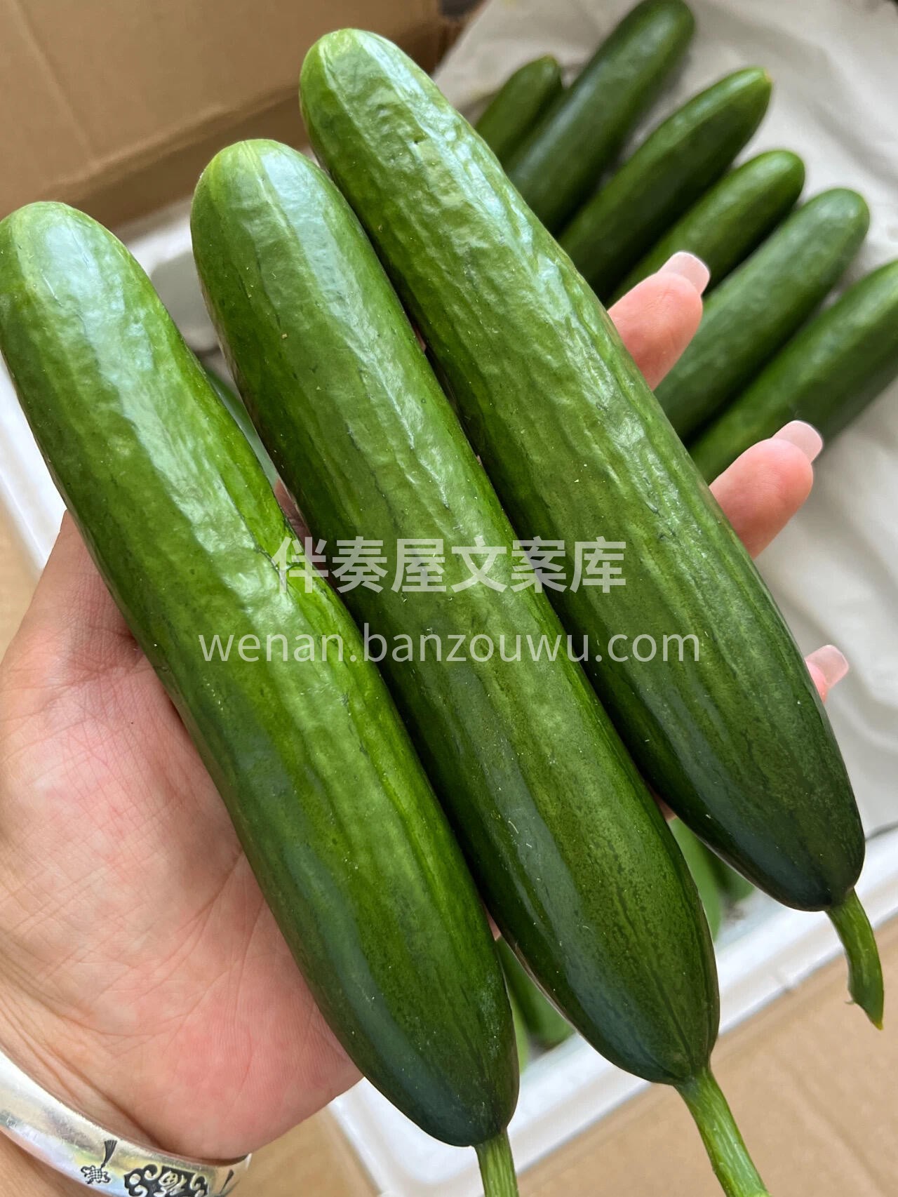 🔥今日爆款💥水果黄瓜🥒 嫩，脆，清香～  配图3