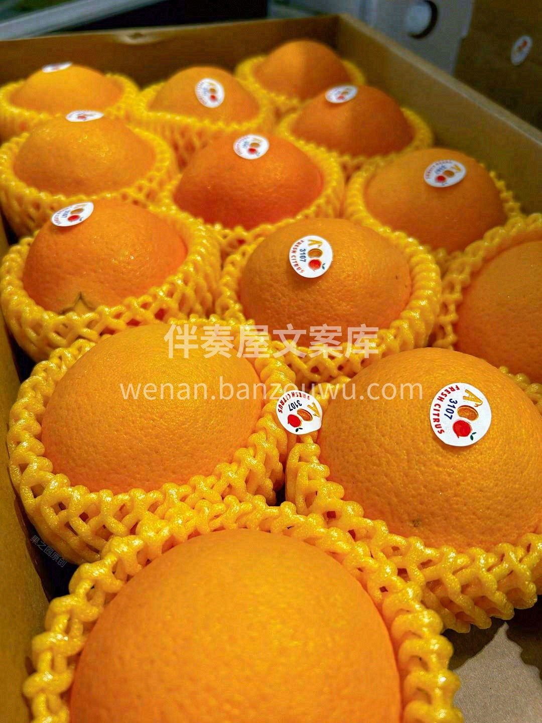 拥有太阳的专属颜色🌞 一口阳光脐橙🍊，仿 配图3