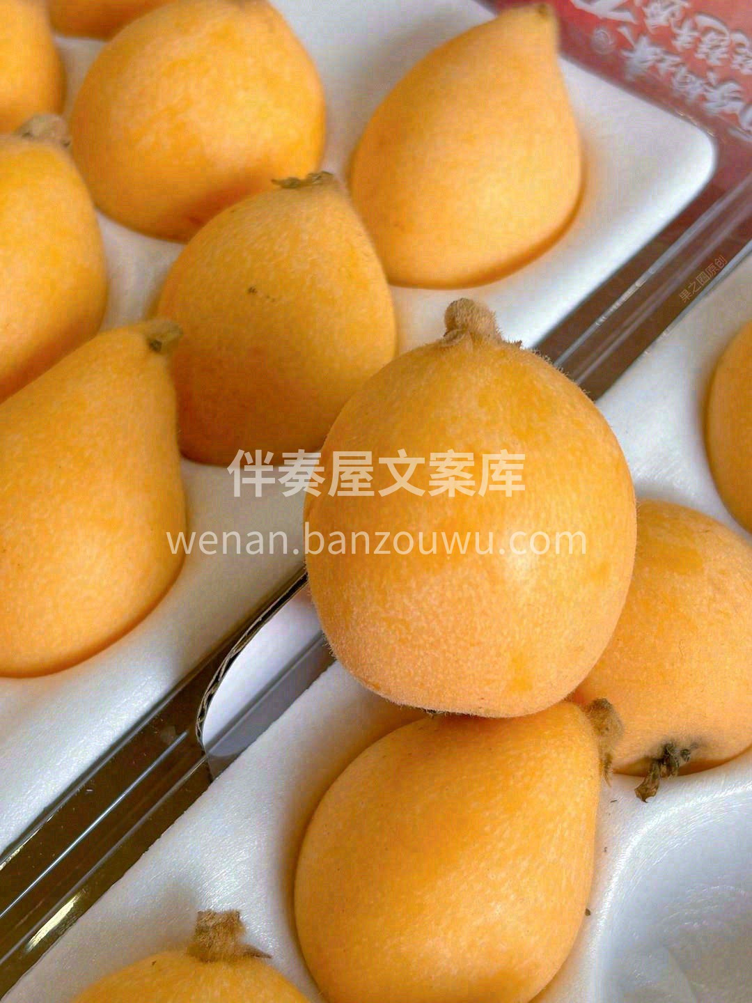 “润肺缓咳”的营养果🎖 吃上一颗枇杷😋， 配图1
