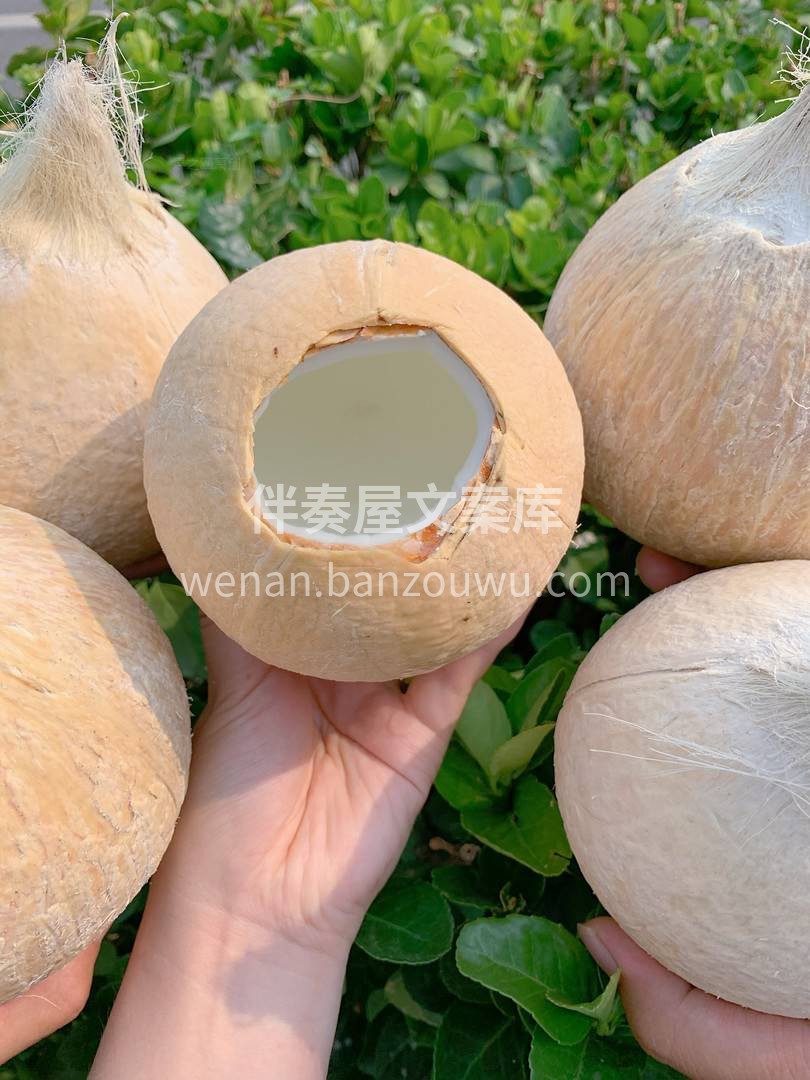 🌴秋天就需要冰冰凉的饮料续命！ 有什么比 配图2
