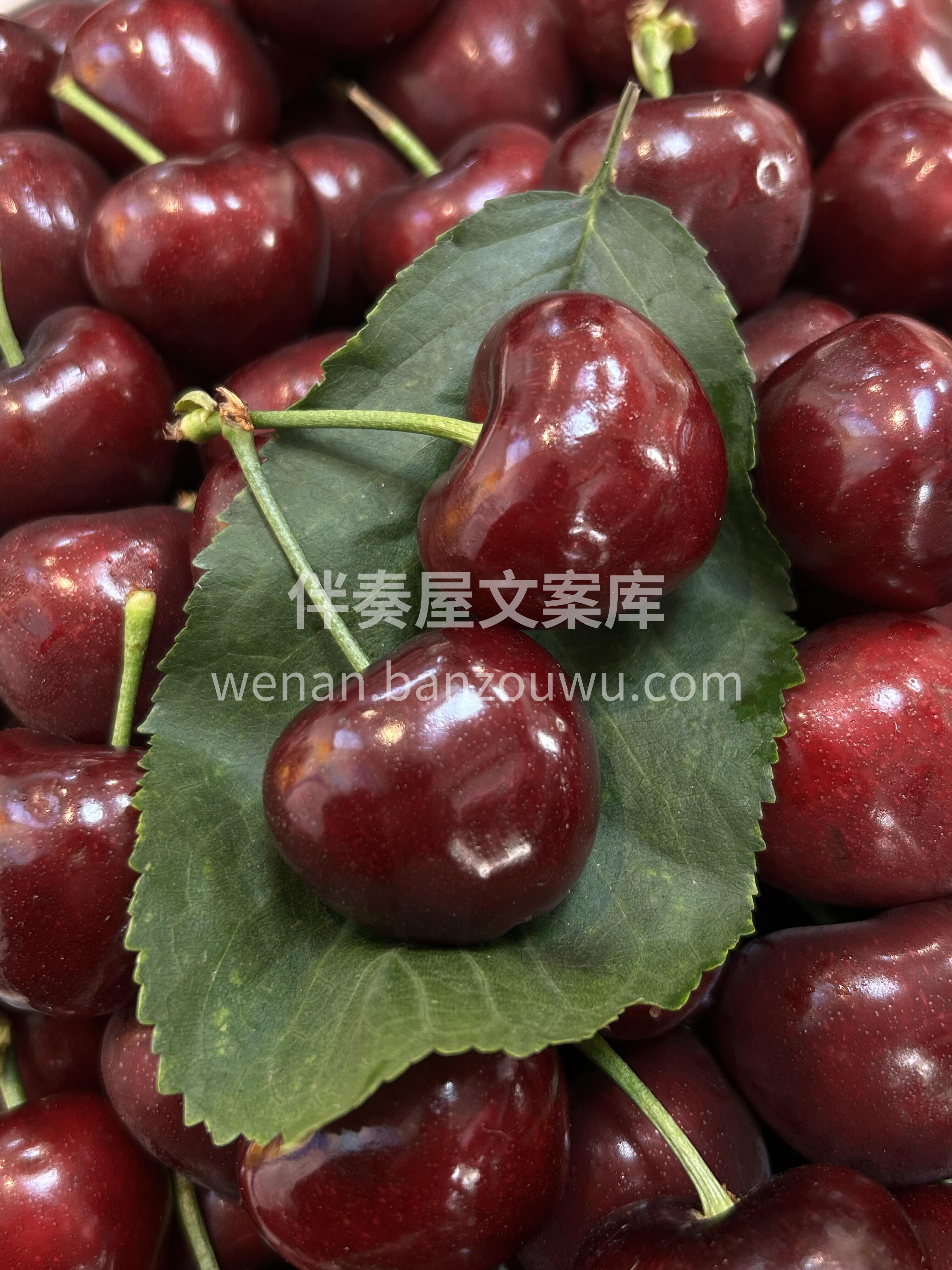 🍒美早樱桃！💎 国产车厘子天花板✨ 美早 配图2