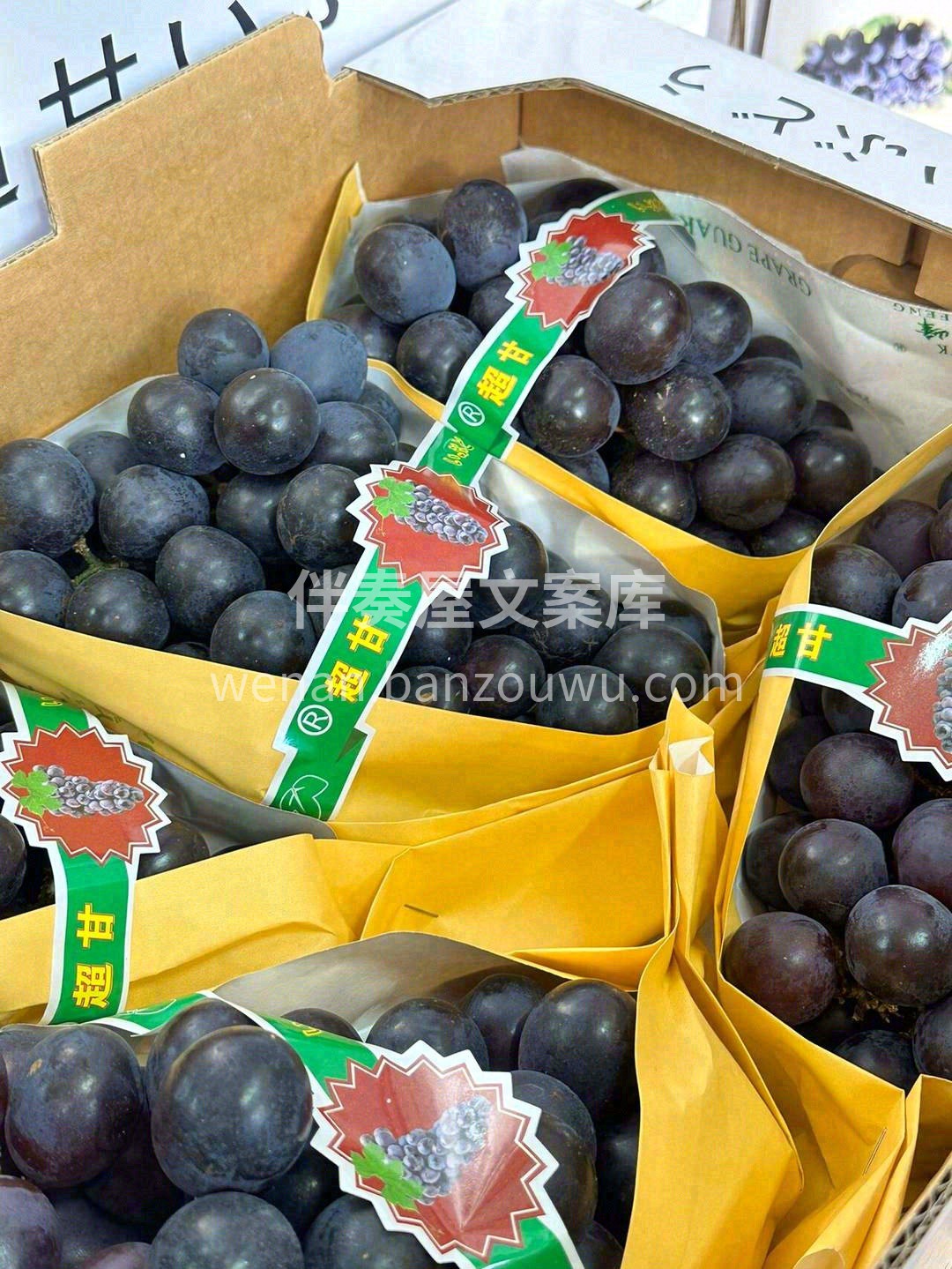 春天的巨峰葡萄🍇，着实撩人 圆润饱满，葡 配图3