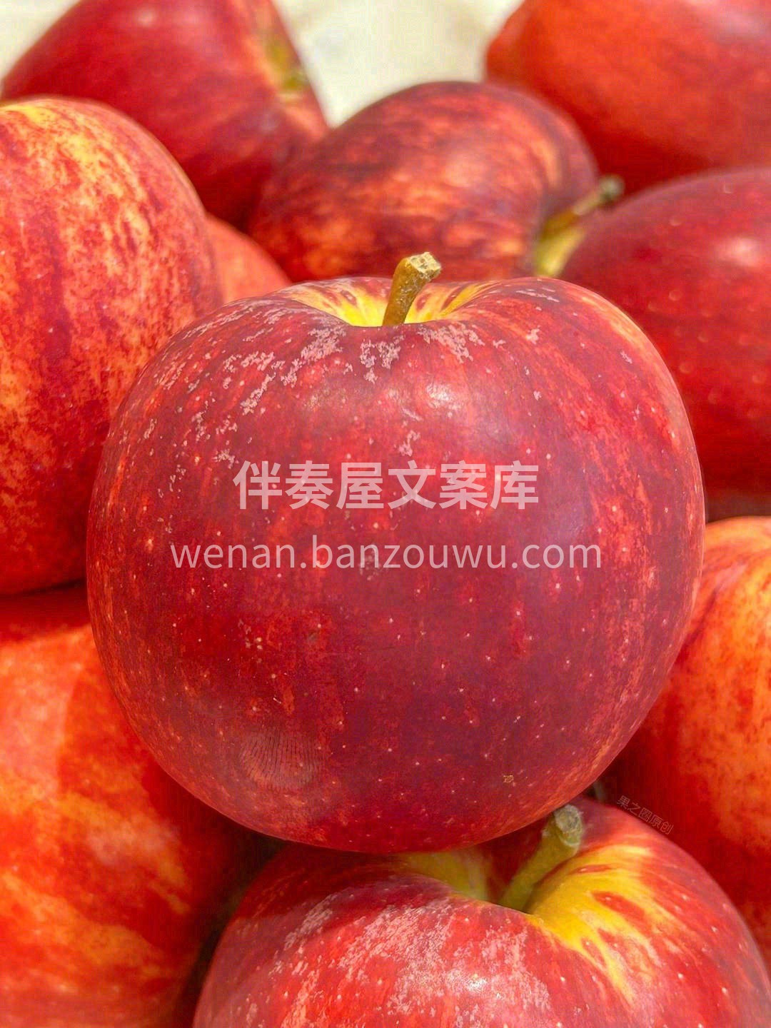 🍎个头不大，口感完爆99%的对手💪💪。  配图3