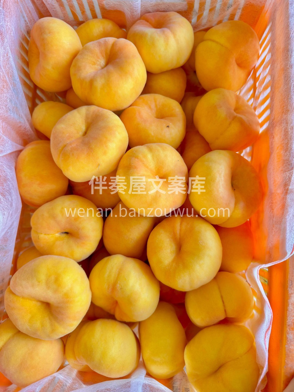 彩虹蟠桃💚不止于甜，味香浓郁，一爆口汁的 配图3