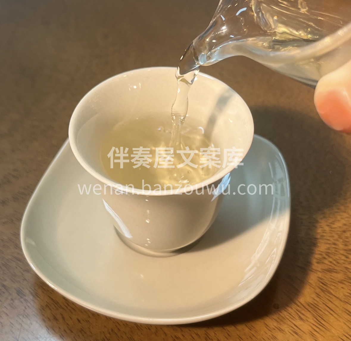 午后放空神器！明前白牡丹来啦 专为上班族 配图3