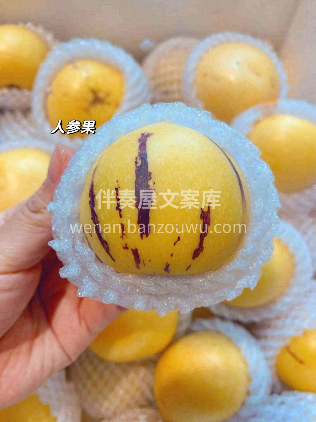 🔥干燥的时候吃一口人参果，就像在嗓间注入 配图2