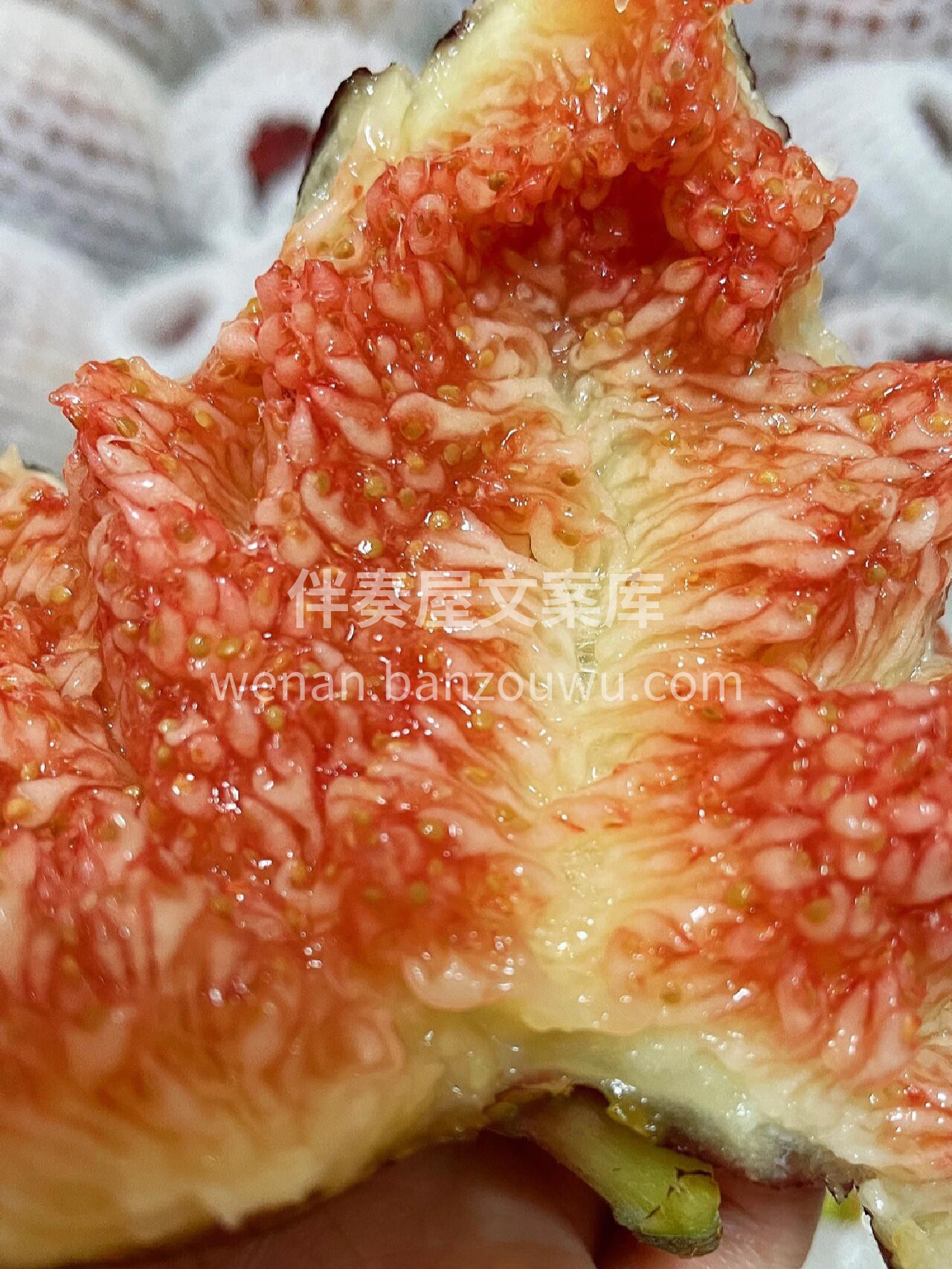 【无花果】来咯～ 抗癌神奇‼️软糯清甜💋 配图2