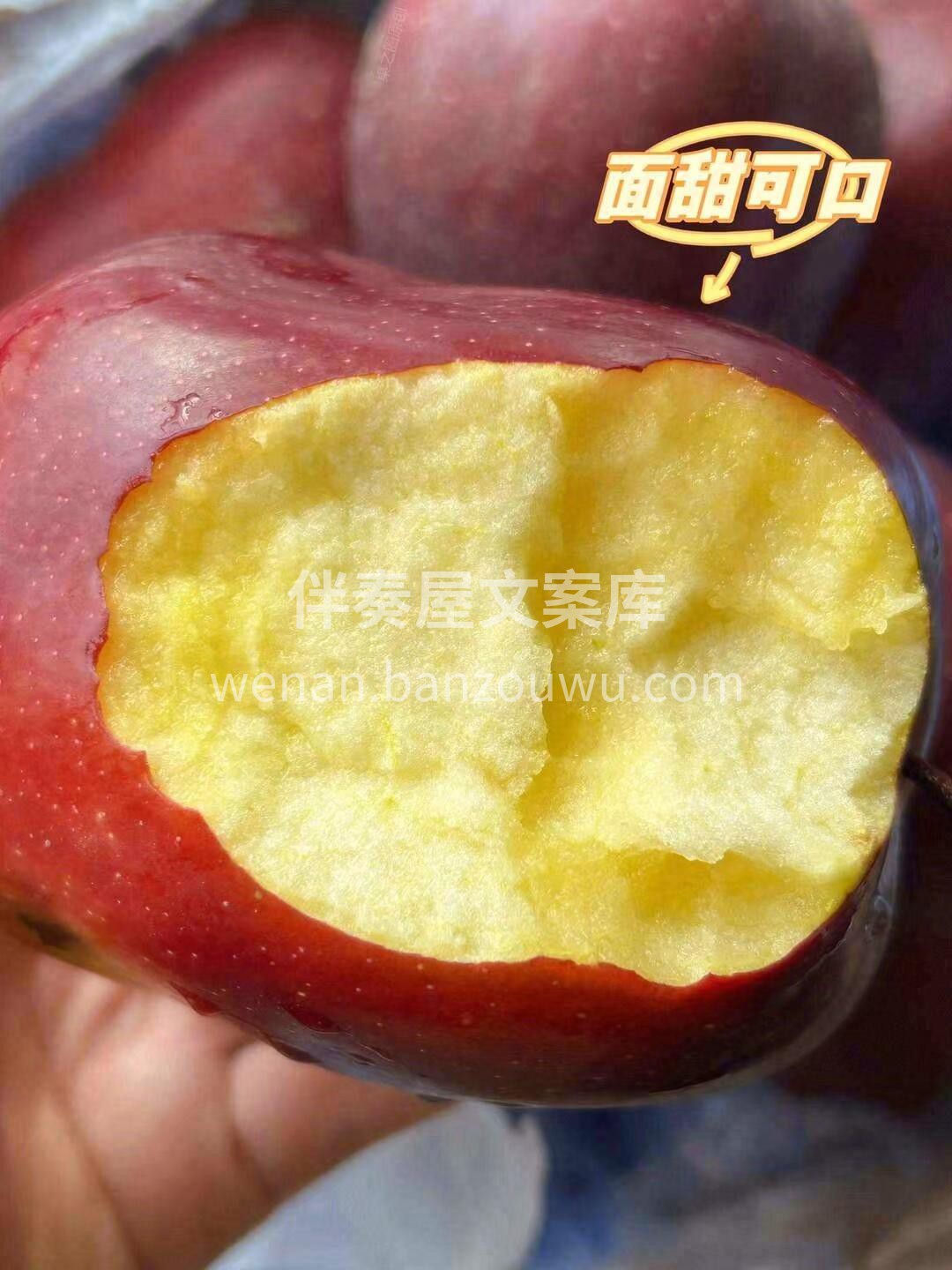 🍎到货啦雪原蛇果新鲜到货~ 🌞 特殊的光 配图3
