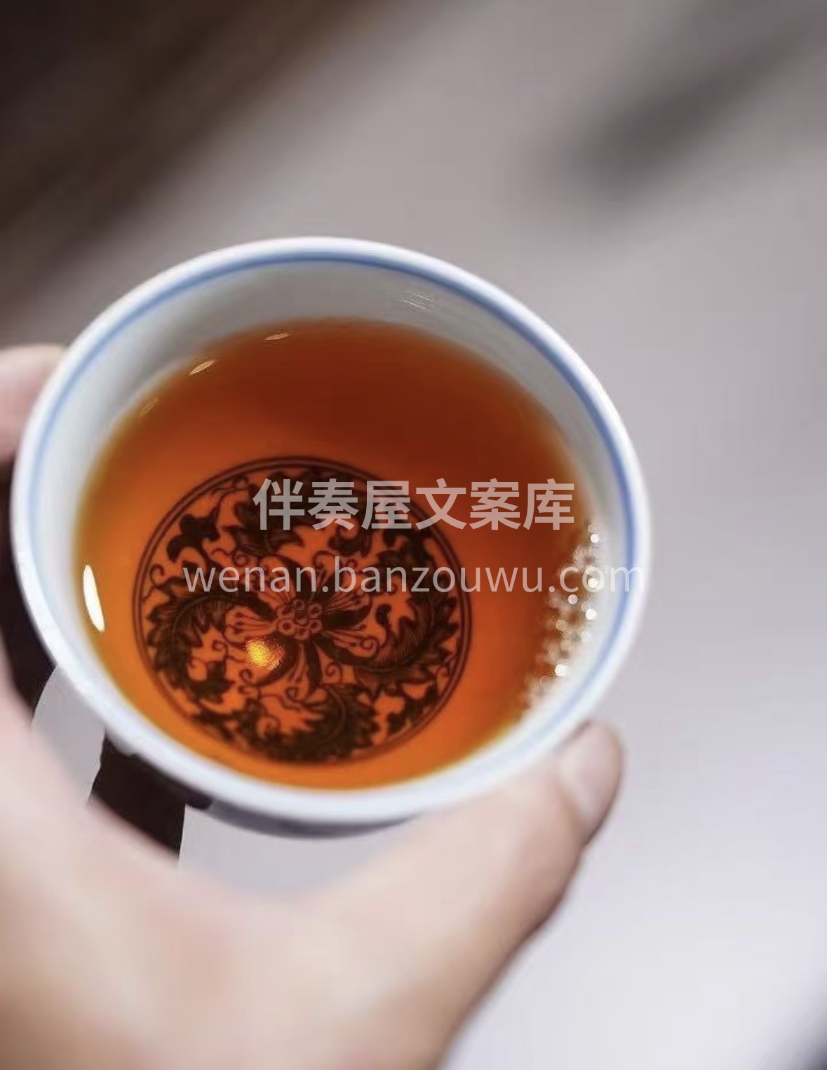 三月春风暖，一杯古树红最懂人心。 山野气 配图3
