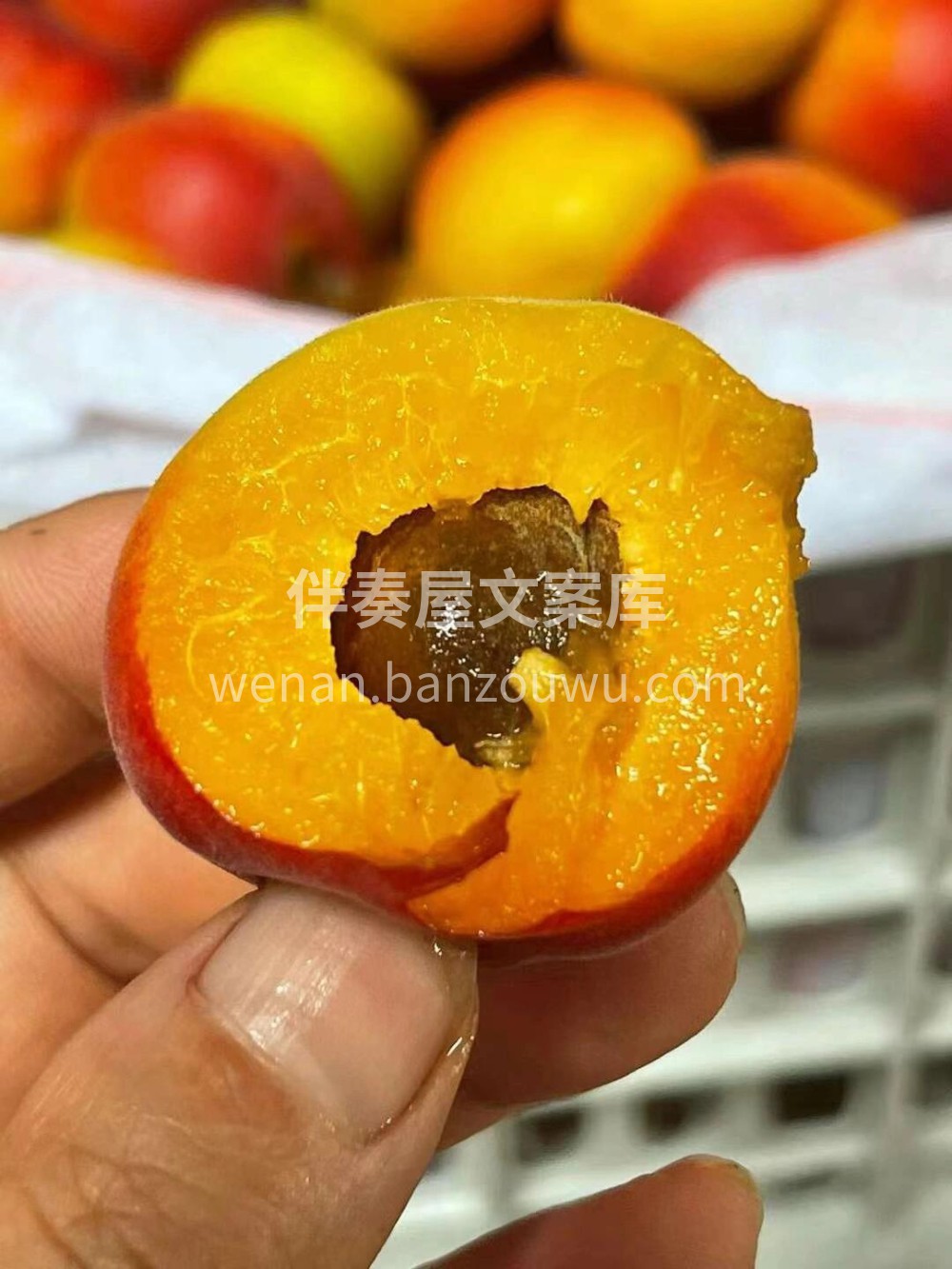 新疆小红杏💚让味蕾跳舞！～ 🍯糖度爆表， 配图2