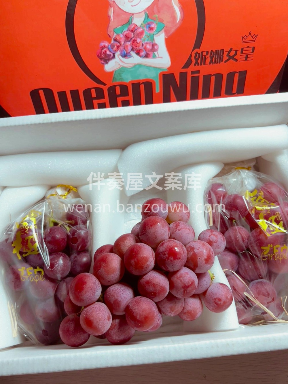 💚Queen Nina（妮娜女王）红晴王 配图3