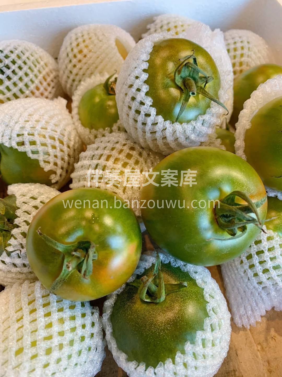 🍅身材娇小，果肉脆嫩，沙瓤多汁，生津止渴 配图1