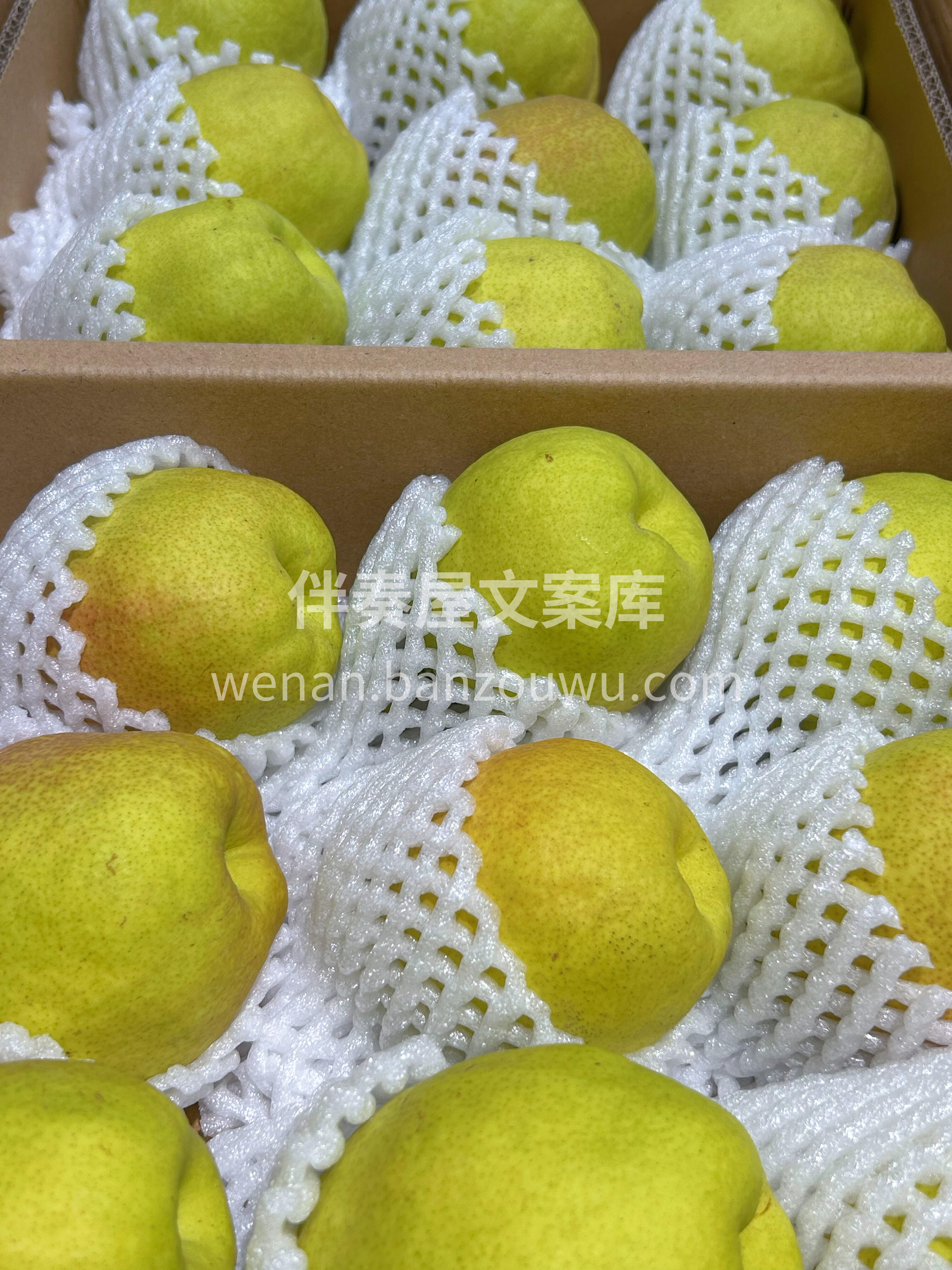 ❤️润肺必吃｜新疆库尔勒香梨🍐 一不注意 配图2