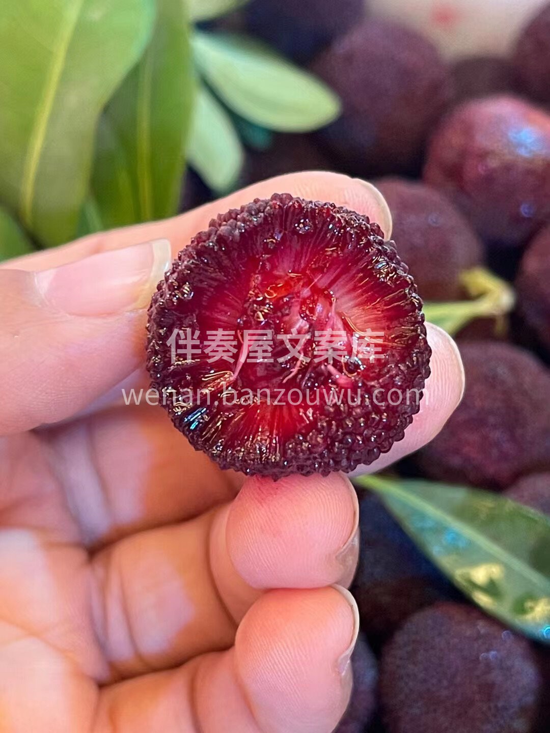 口水止住🤤🤤 大大的杨梅来啦💜 娇嫩饱满 配图3