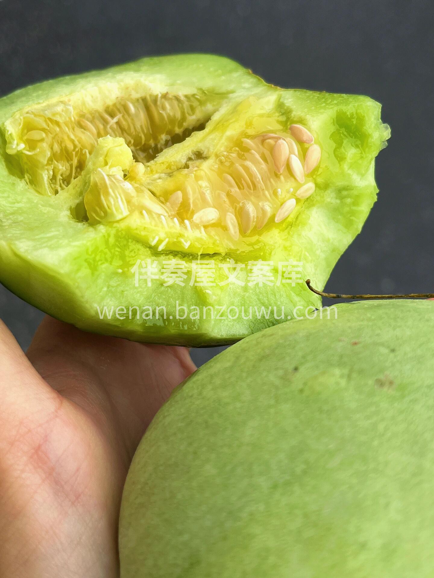 “弱水三千只取一瓢， 🍈万千甜瓜只想选它 配图1