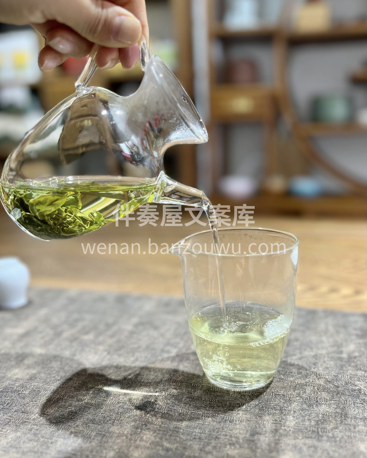 【崂山绿茶 · 鲜润如玉】北纬36°黄金 配图3