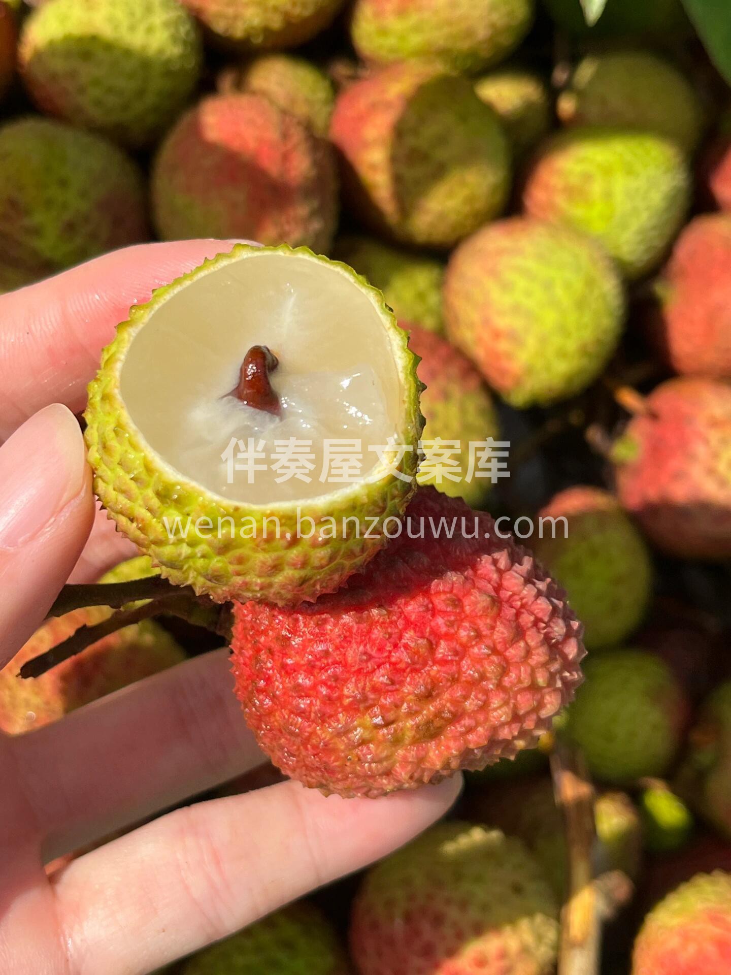 这个季节，想和你甜一夏🍃 💥初夏限定爆款 配图2