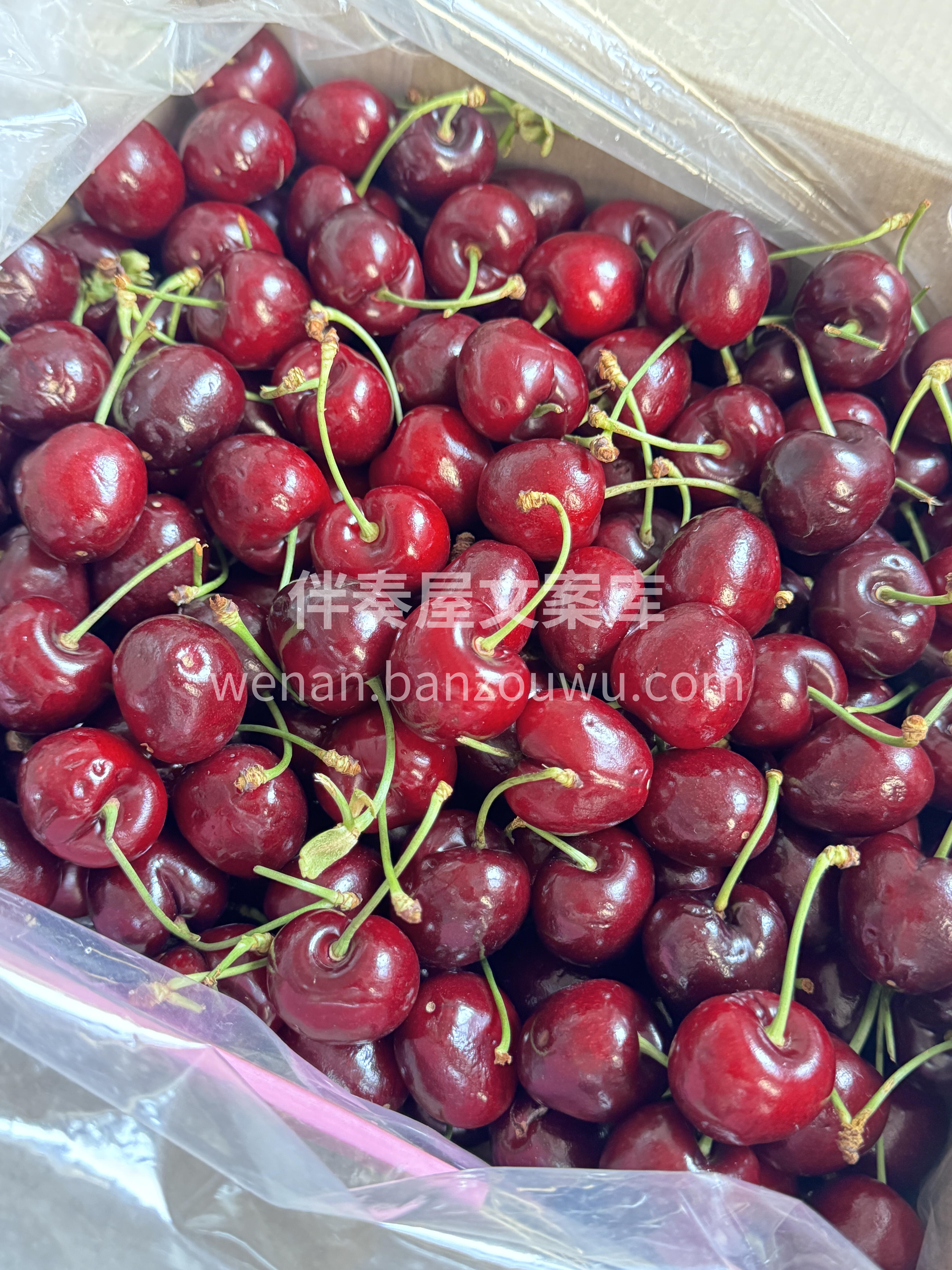 一整颗塞进嘴里🍒🍒，汁水万箭齐发🏊 进攻 配图3