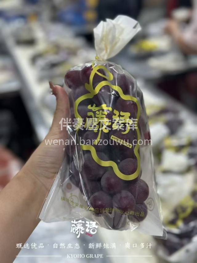 🍇藤语葡萄 之 系列香虞 新品种重磅上市 配图2