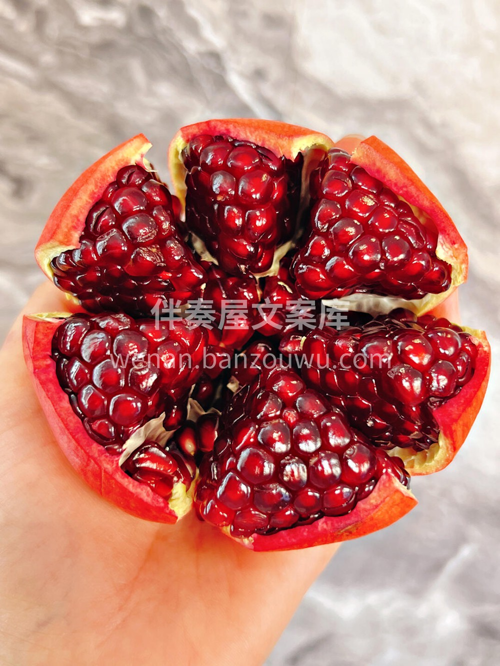 突尼斯软籽石榴❤️ 💐万物可爱，留住美好 配图3