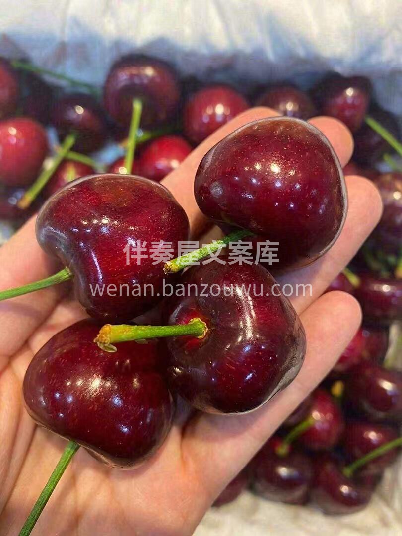 这个樱桃谁懂啊！！！🍒有的路，你必须自己 配图2