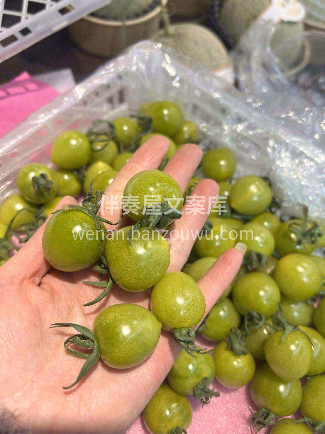 👉一颗一颗，鲜嫩饱满、甜蜜多汁的小番茄🍅 配图2