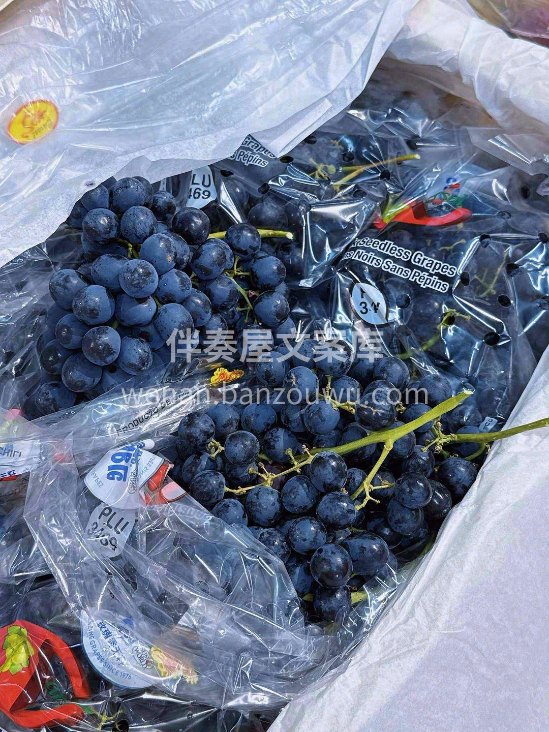 脆嫩甜蜜的紫霞宝珠🖤，一袭神秘的黑衣，散 配图1