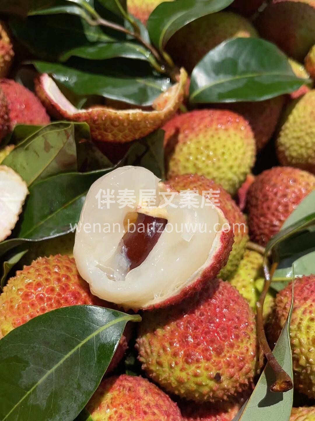 我们的快乐！它来了🥰！ 无荔枝，不夏天✨ 配图3