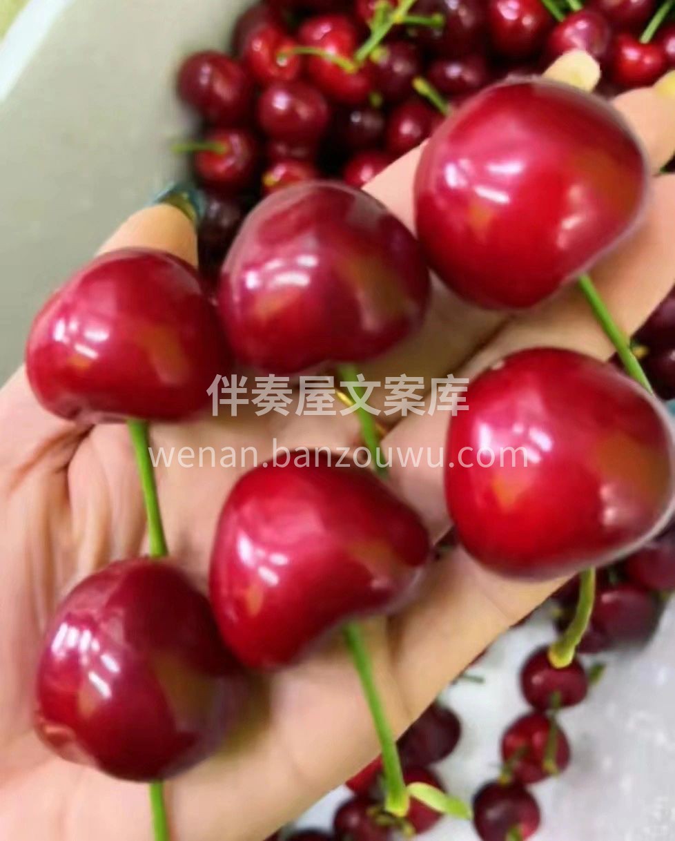 🌸不管春夏秋冬❄️ 小店的果子永远甜度在 配图1