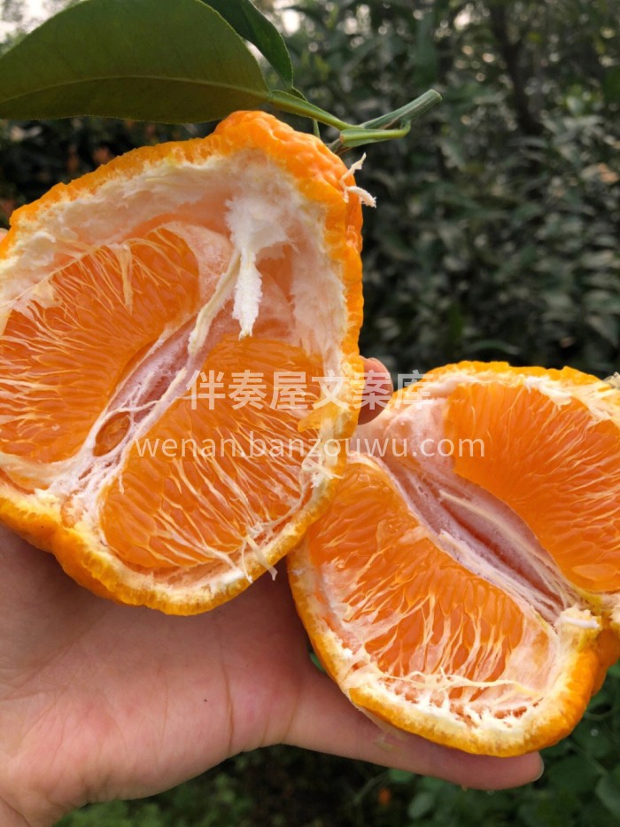 不知火丑橘🍊口感超级赞👍—拥有天然的浓郁 配图1