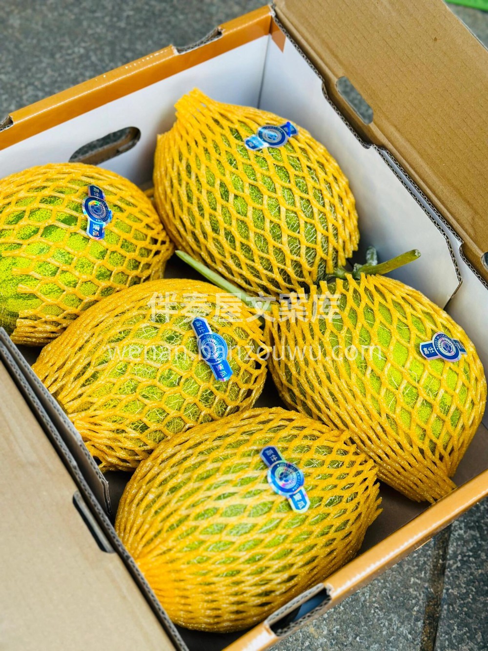 ✅嘉仕黄皮蜜瓜💛 真正的瓜中之王💥‼️  配图3